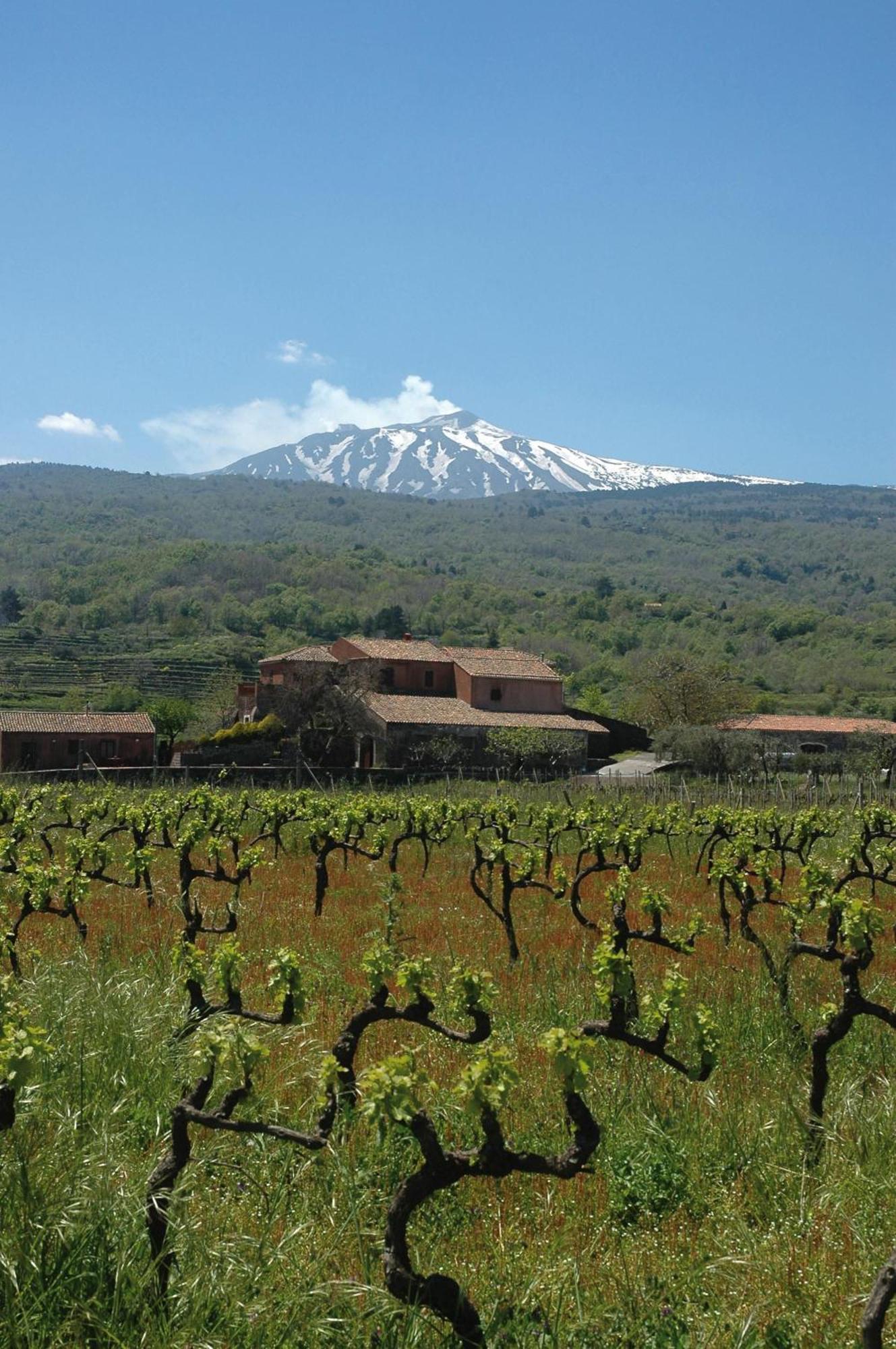 Agriturismo Valle Galfina Лингуаглоса Екстериор снимка