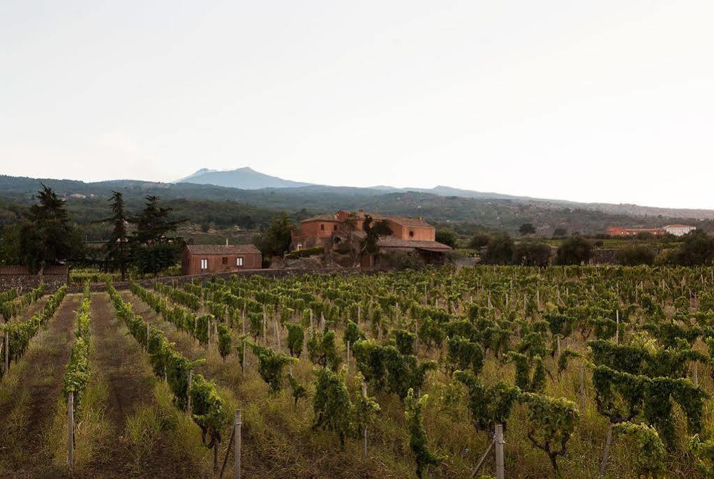 Agriturismo Valle Galfina Лингуаглоса Екстериор снимка